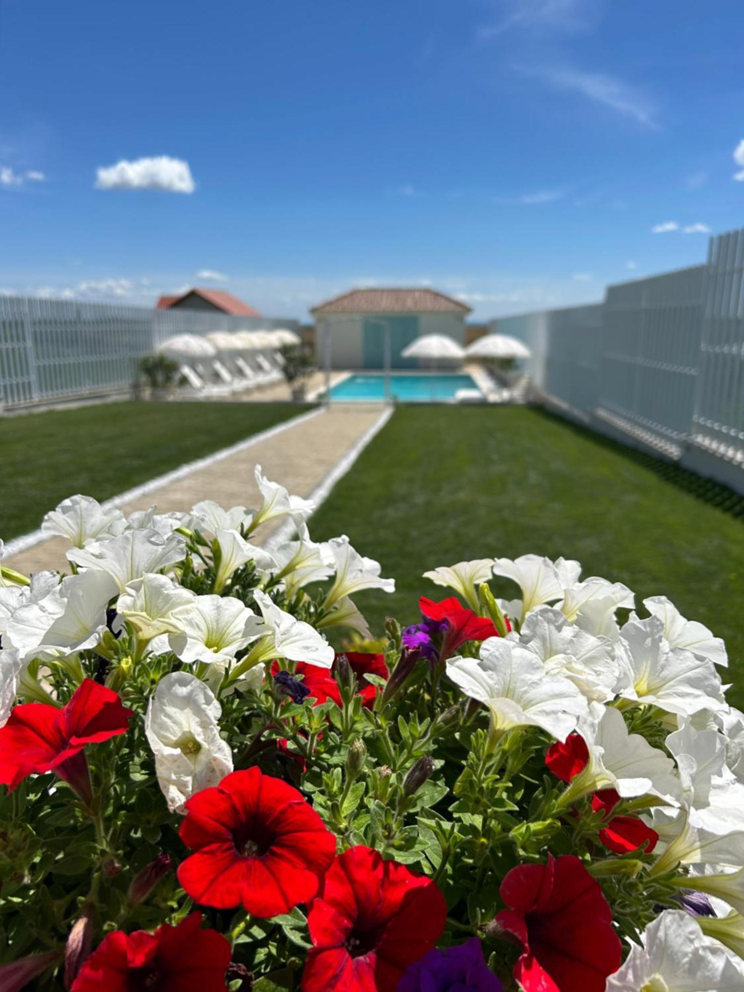 Bed and Breakfast Alma Rezidence Turda Exterior foto